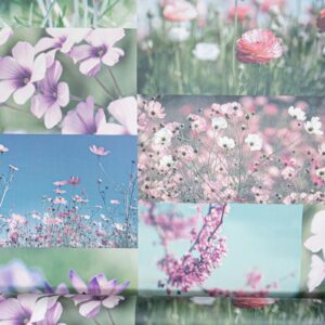 Heather Pink Floral Wallpaper