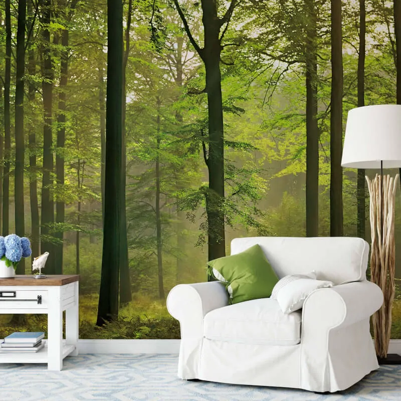 autumn-forest-2