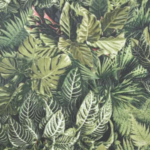 Green Tropical Leaf Slightly Imperfect