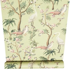 Nina Home Soft Green Blossom & Birds Wallpaper Feature Wall